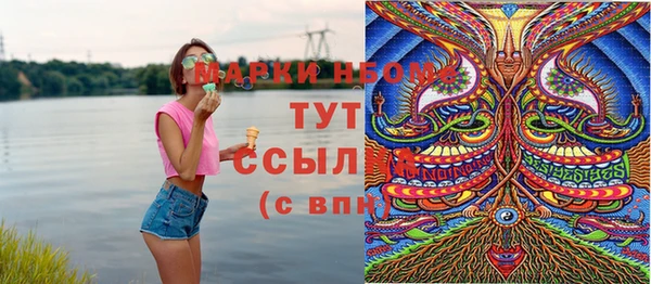 дживик Гусь-Хрустальный