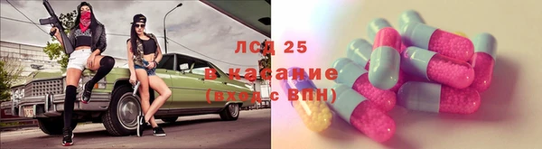 сатива Горнозаводск