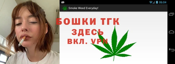 ПСИЛОЦИБИНОВЫЕ ГРИБЫ Гусиноозёрск