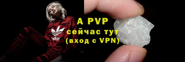 сатива Горнозаводск