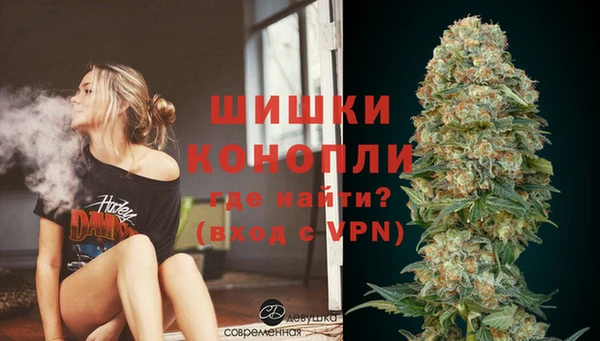сатива Горнозаводск