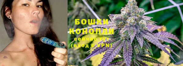 сатива Горнозаводск