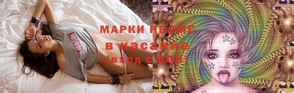 ГАЛЛЮЦИНОГЕННЫЕ ГРИБЫ Гусев