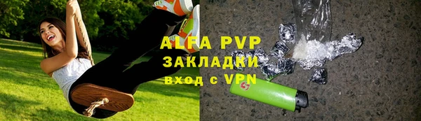 ГАЛЛЮЦИНОГЕННЫЕ ГРИБЫ Гусев